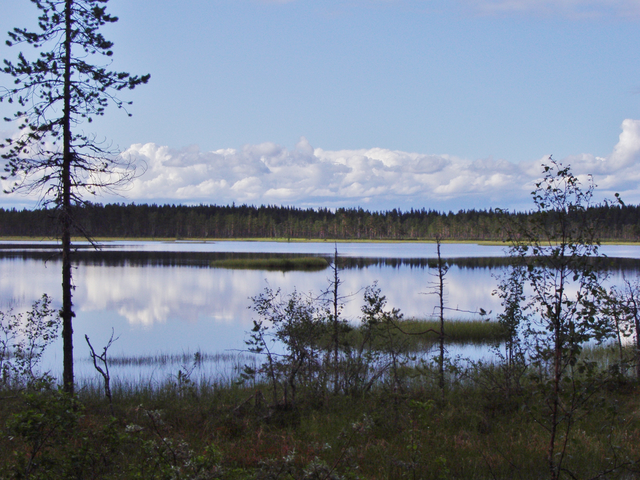 Švédská příroda je opravdu neskutečná. Národní park Hamra je toho důkazem