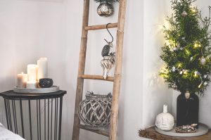 Vánoční výzdoba decor blanc