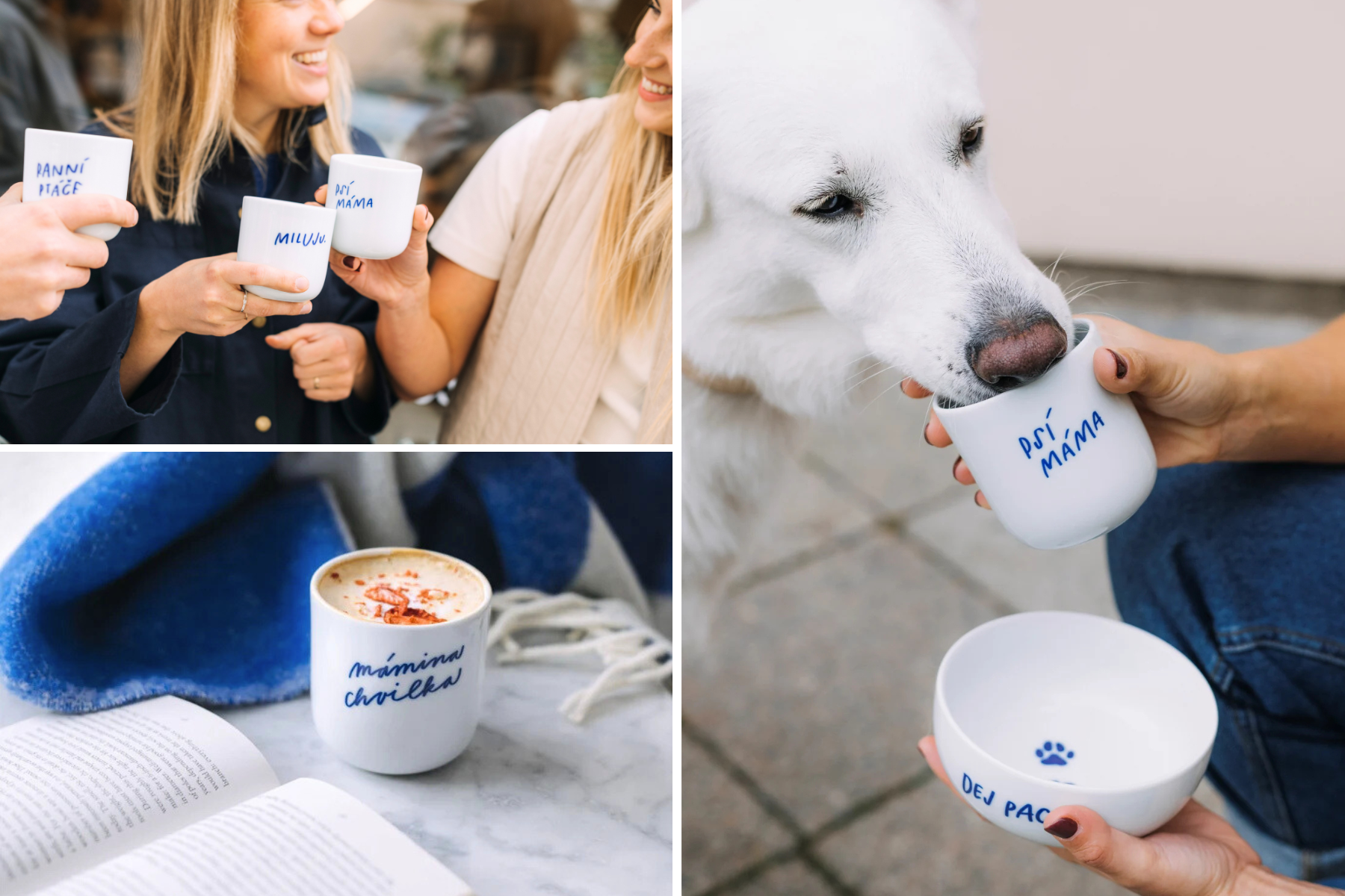 modropis bella rose flatwhite lettering